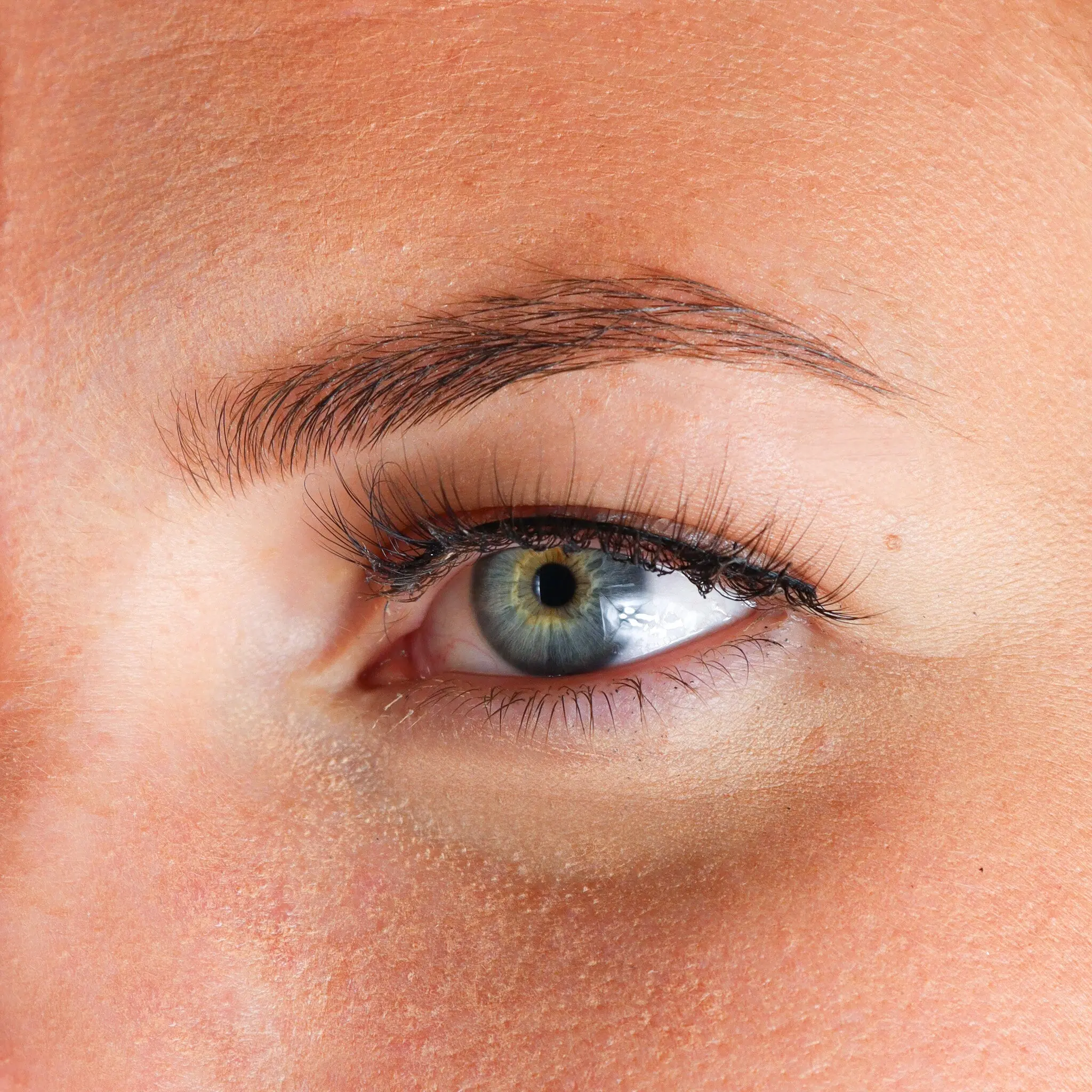 4D Silk Lashes Ruby - Image 2