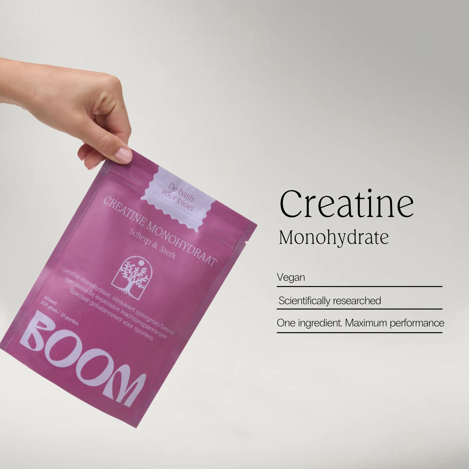 Creatine Monohydraat - Image 2
