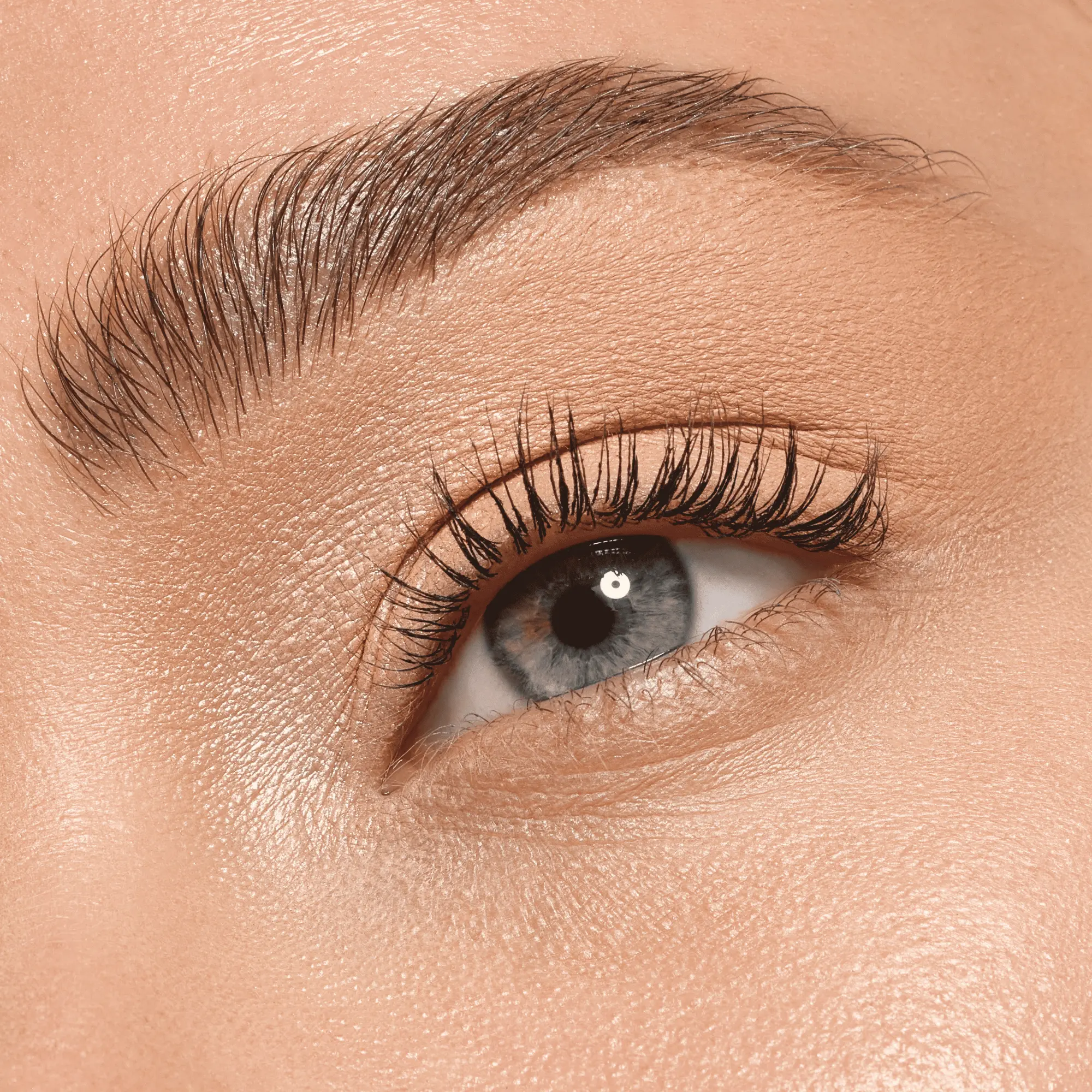 Daily Duo Eyeshadow 010 Everyday Nude - Image 5