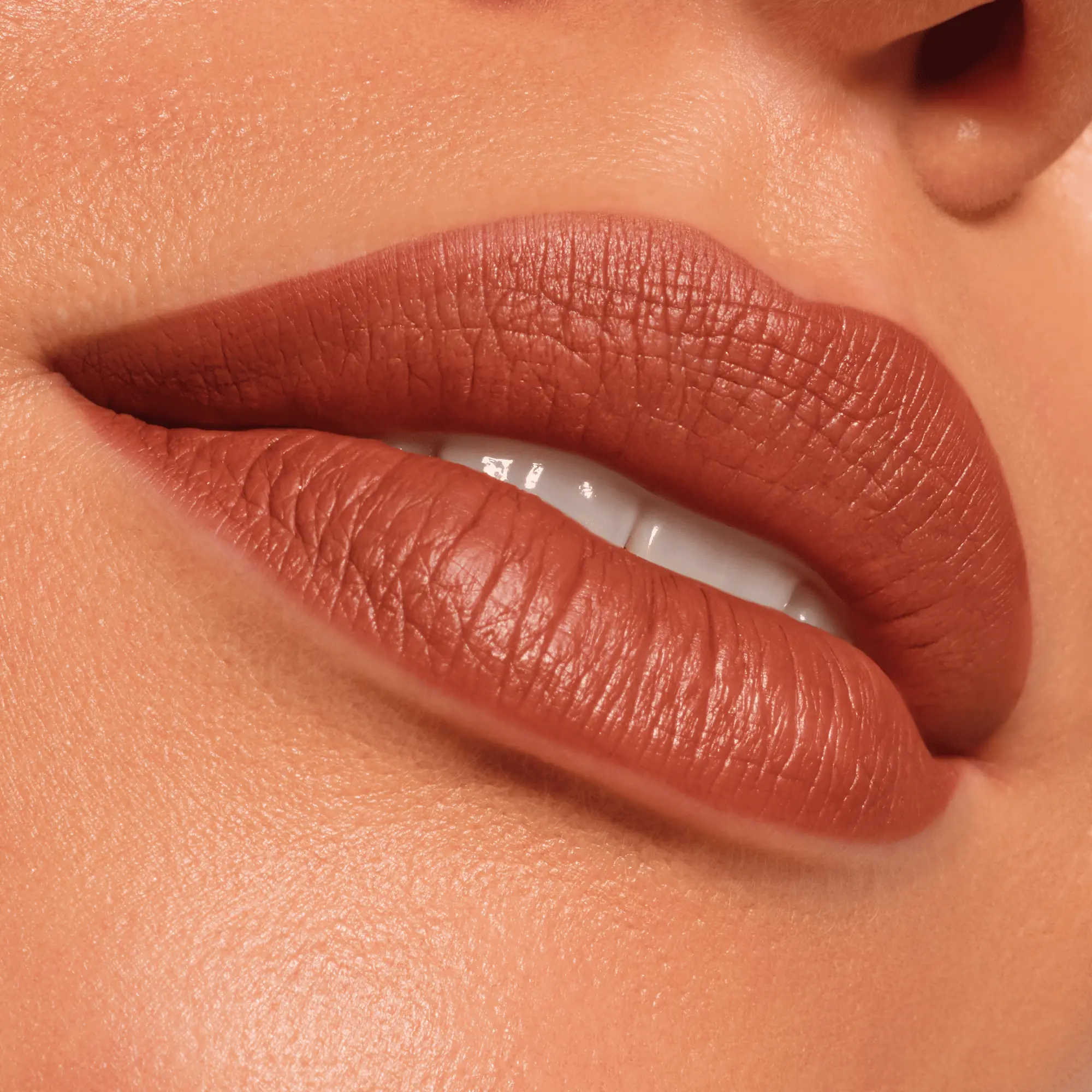 Endless Matte Liquid Lipstick 110 Pralines And Flowers - Image 3