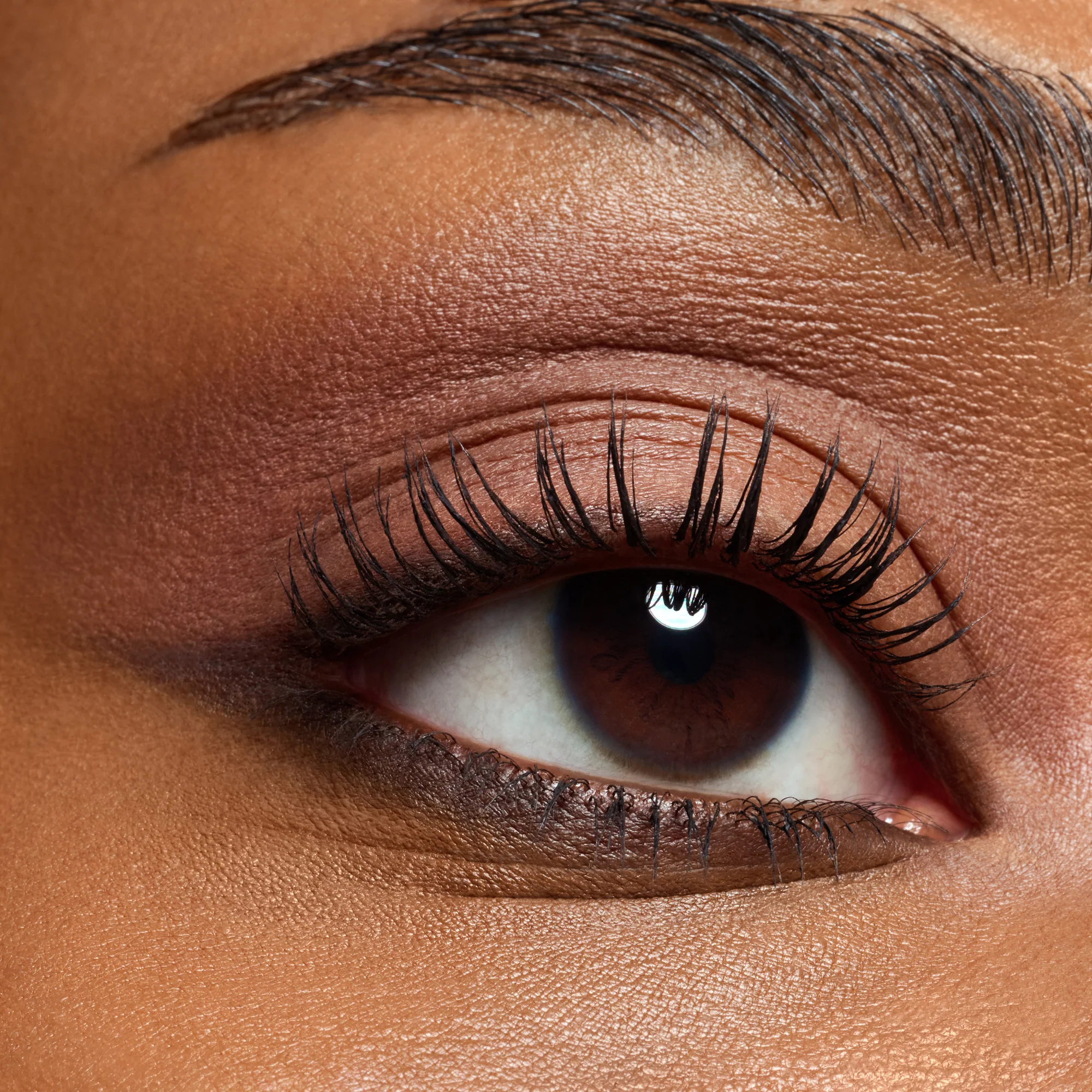 The Dark Cocoa Eyeshadow Palette - Image 2