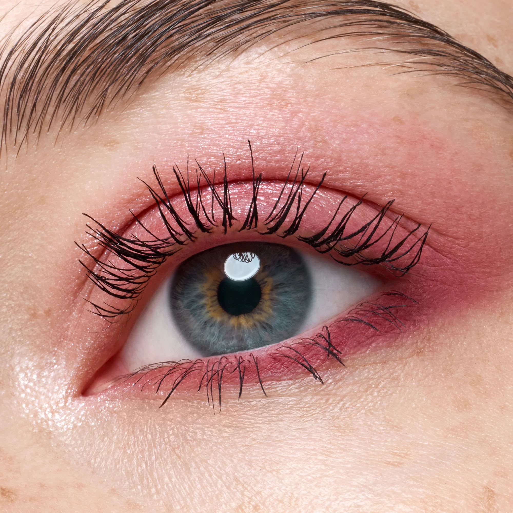 Tiny Treasures Eyeshadow Palette 020 Wild Berry - Image 5