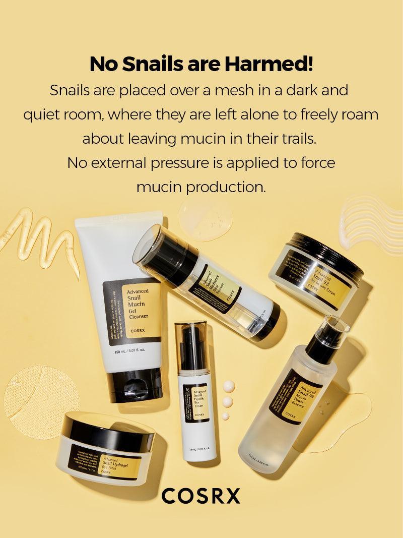 All About Advanced Snail Kit - Image 4