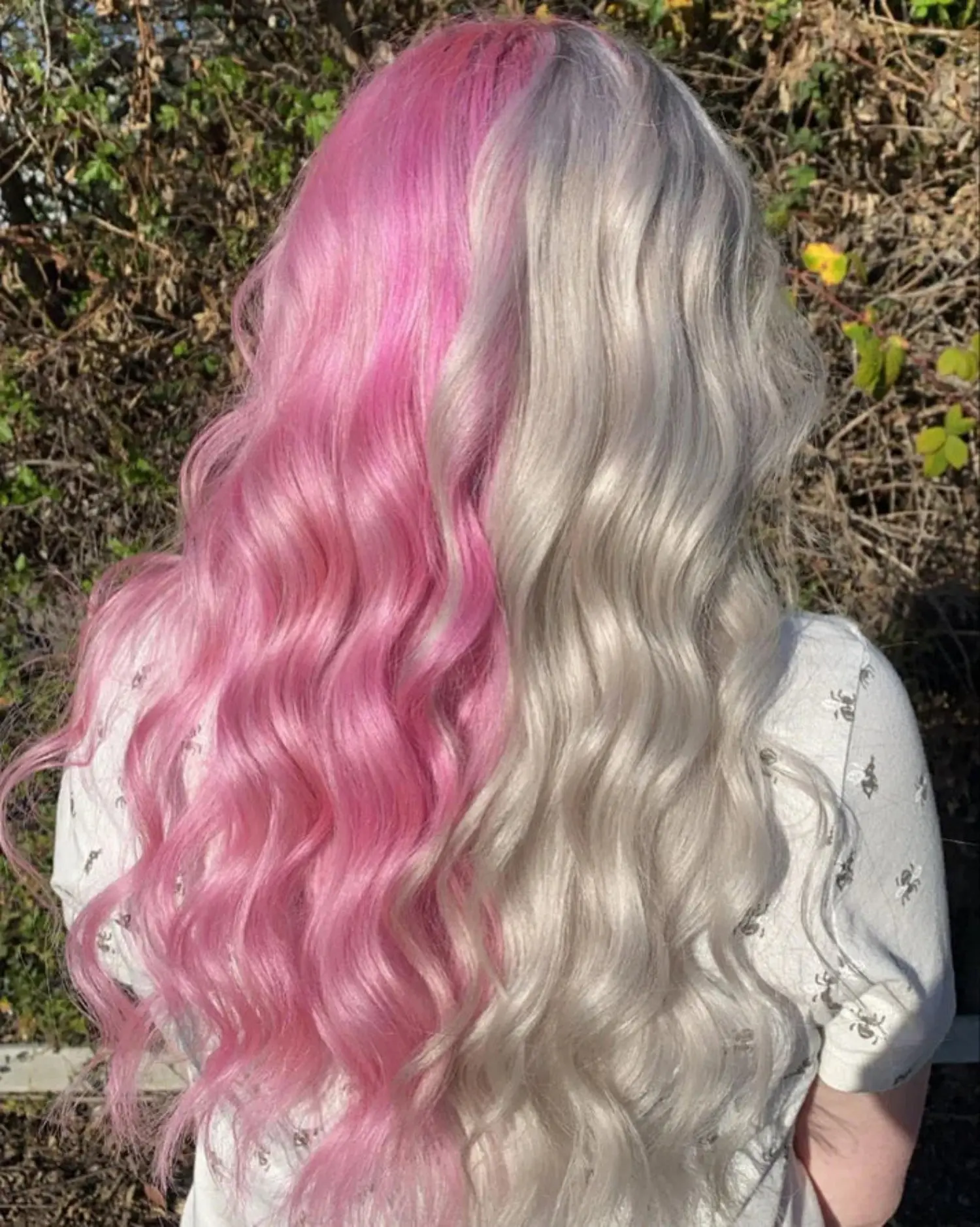 65 Candy Floss - Image 4