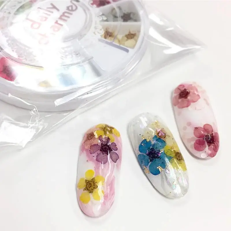 Pressed Dry Natural Petal Flower Set - Image 2