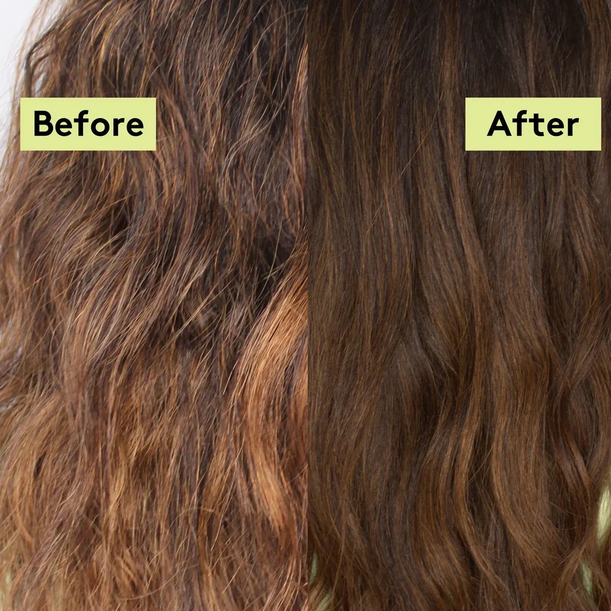 Rich Roots Strengthen & Moisturise Shampoo Amla & Rosemary - Image 2