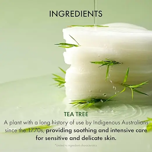 Tea Tree Purifine Toner Pad - Image 5