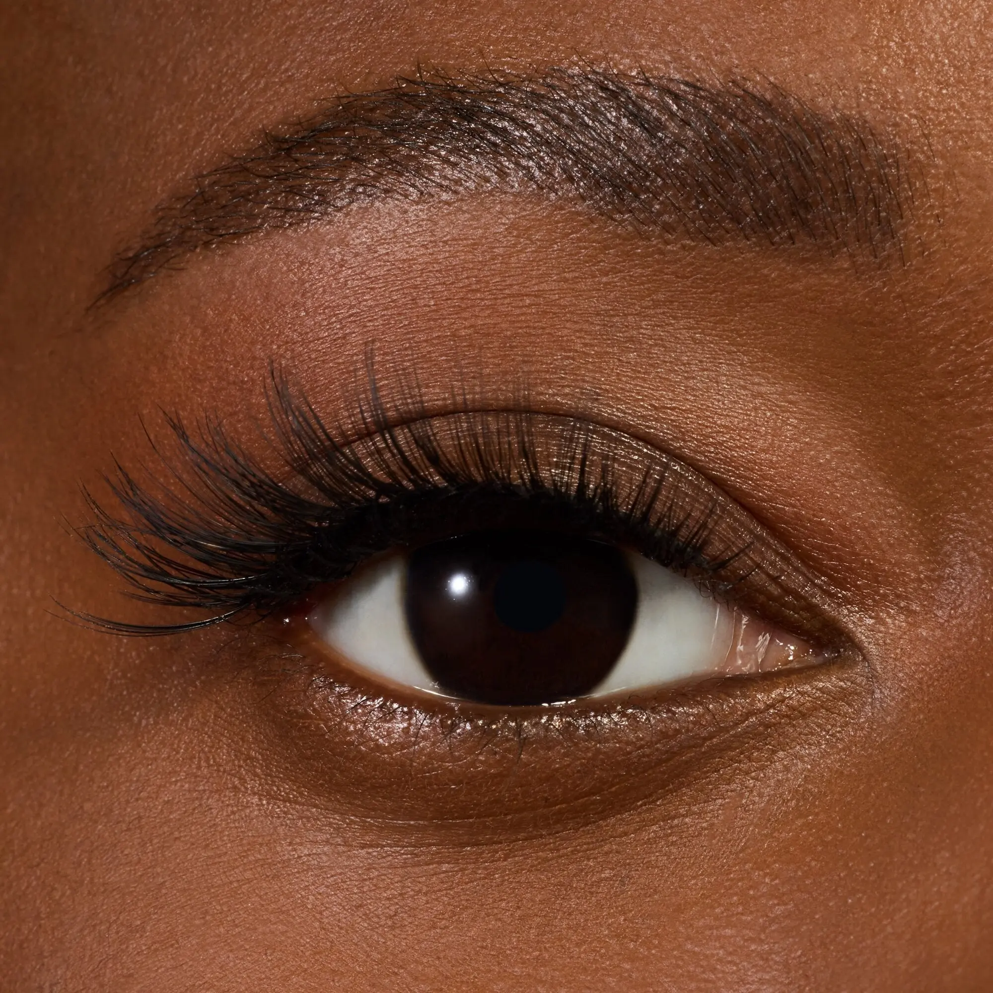 Cateyes! False Lashes 01 Catwalk - Image 5