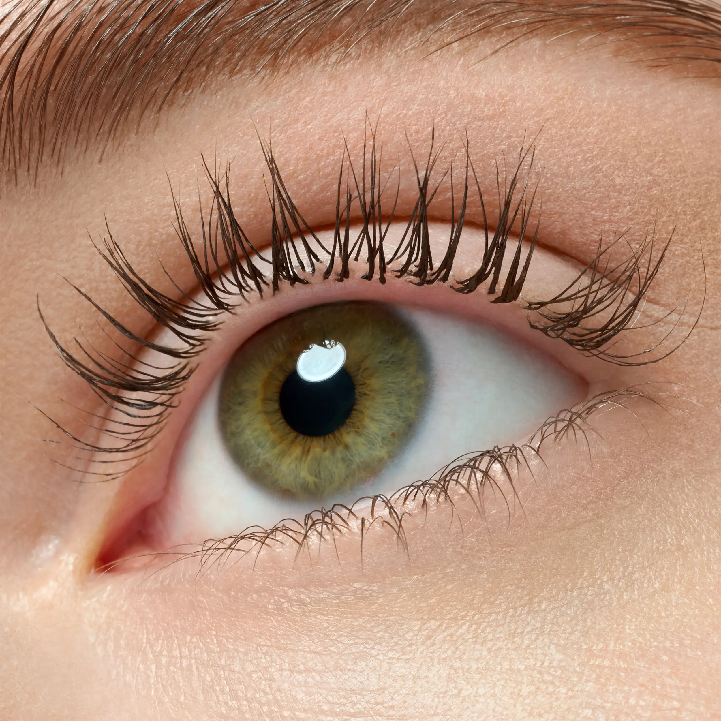 Lash Princess False Lash Effect Mascara Black Brown - Image 2
