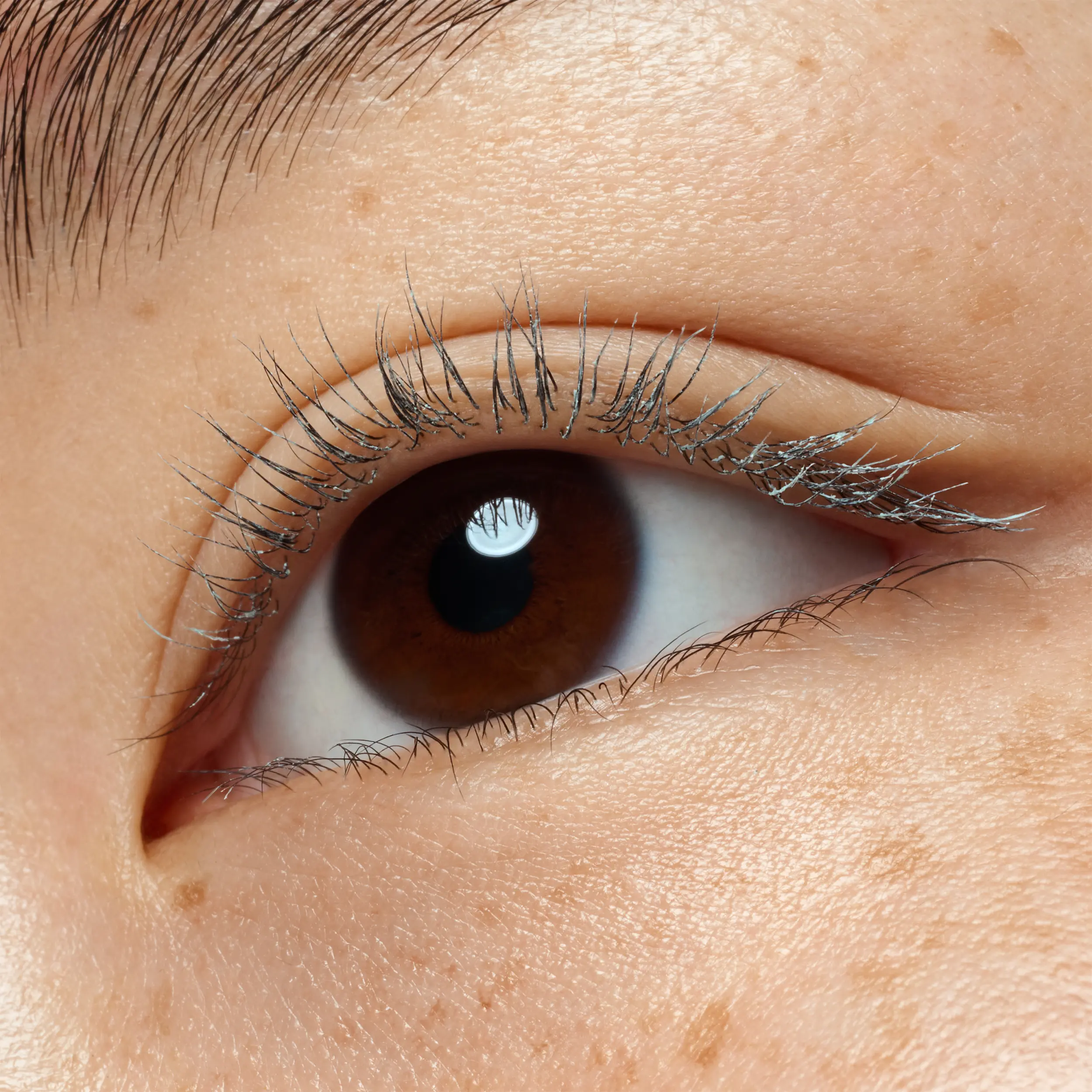 Lash Princess Mascara Primer Extra Length & Volume - Image 5