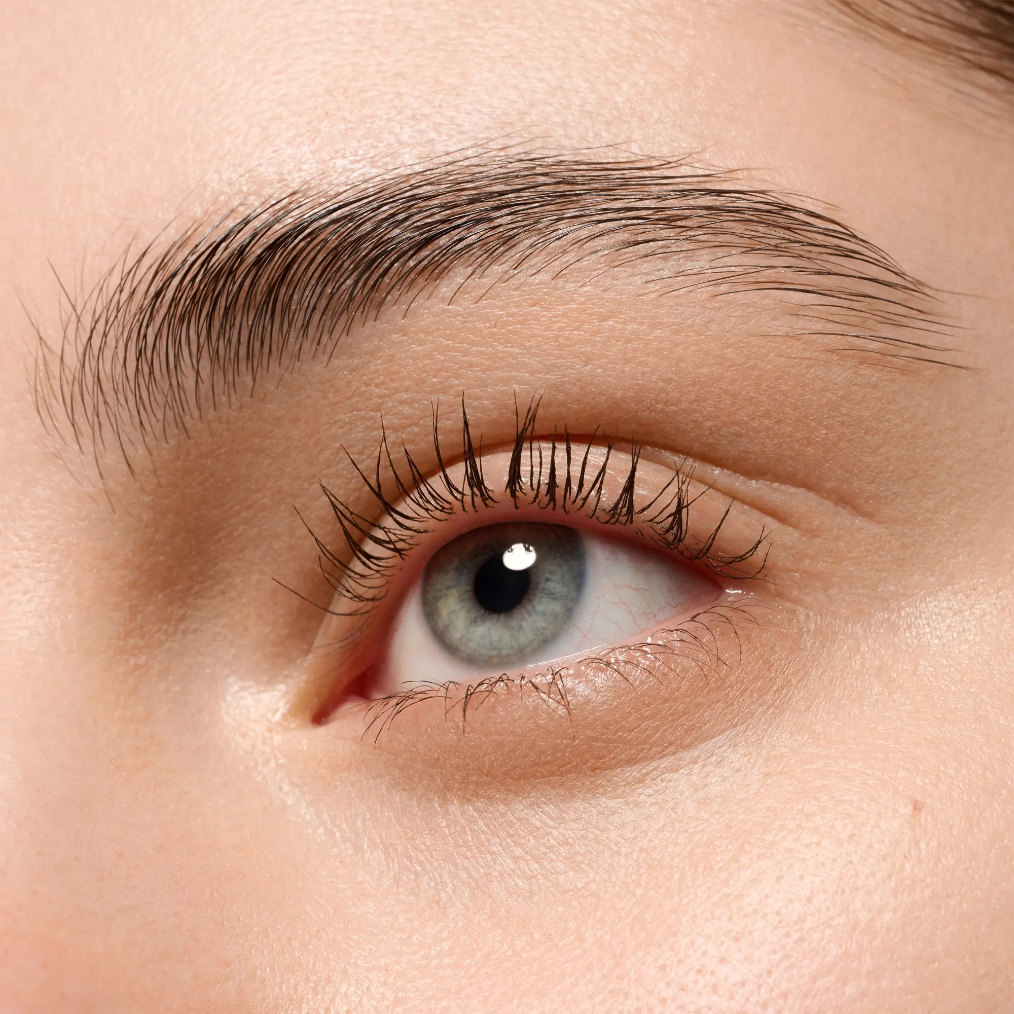 Lash Without Limits Tubing Brown Extreme Lengthening & Volume Mascara 05 Brown Tubing - Image 4