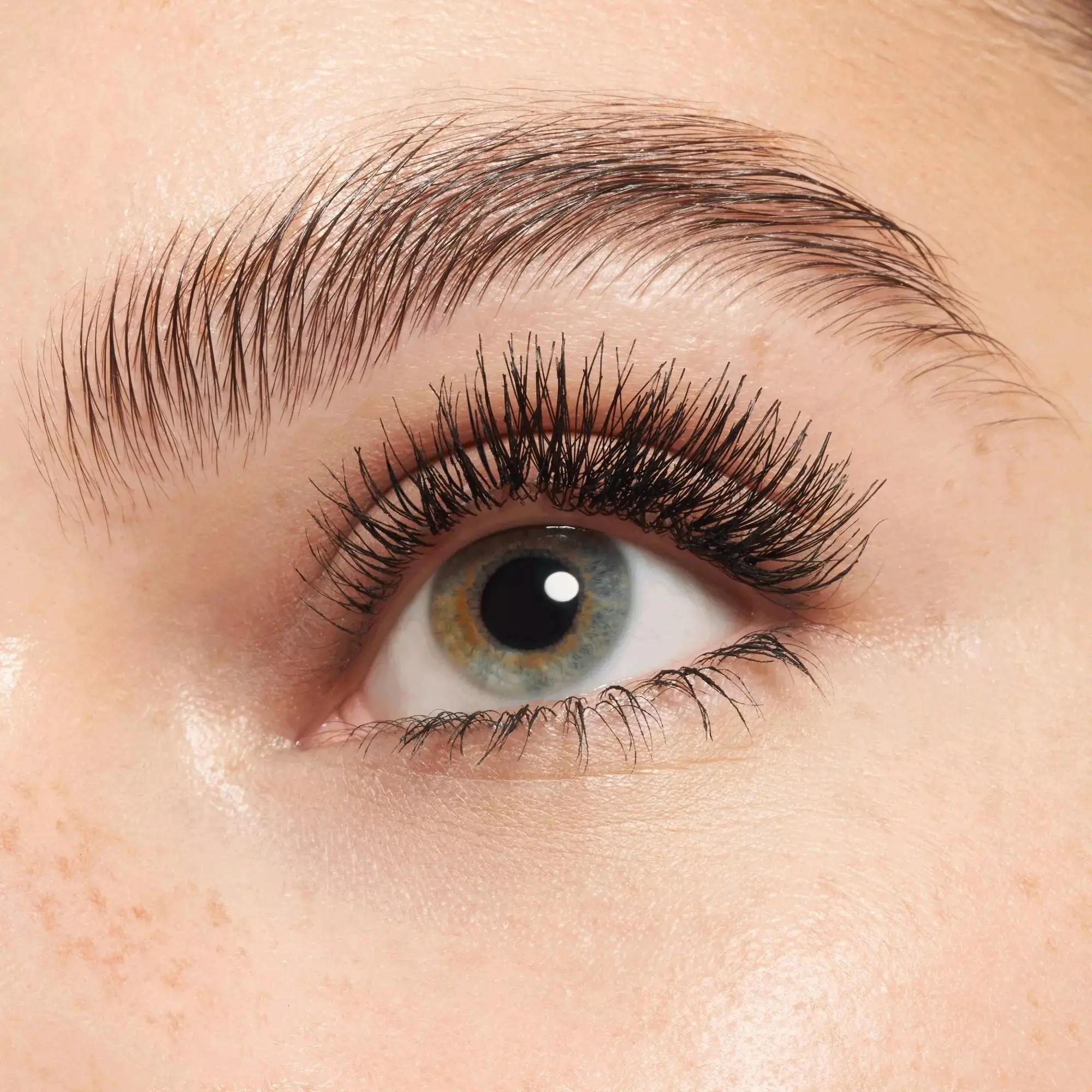 Lashes To Impress 07 Bundled Single Lashes! - Image 4