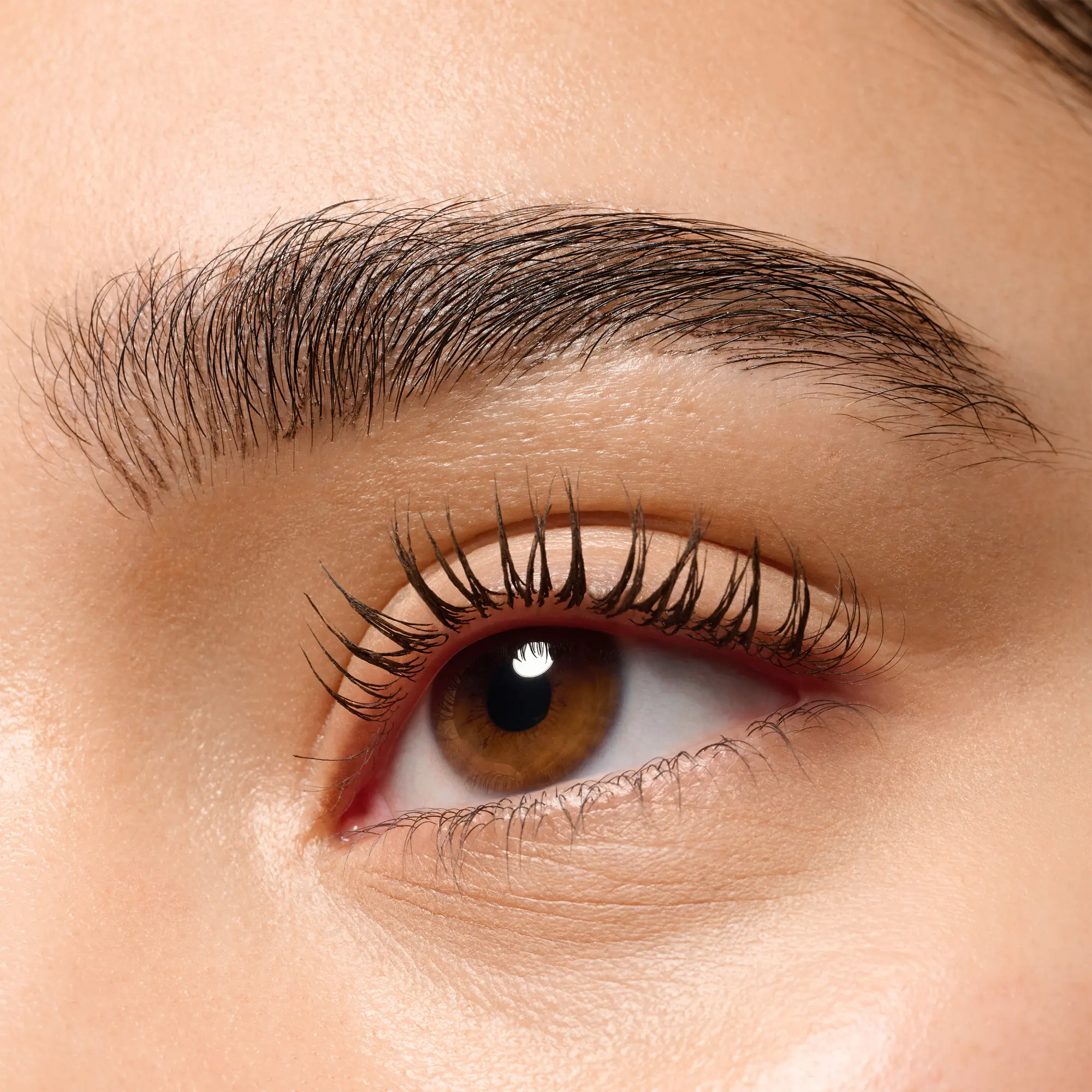 Microblading Brow Brush Liner - Image 8