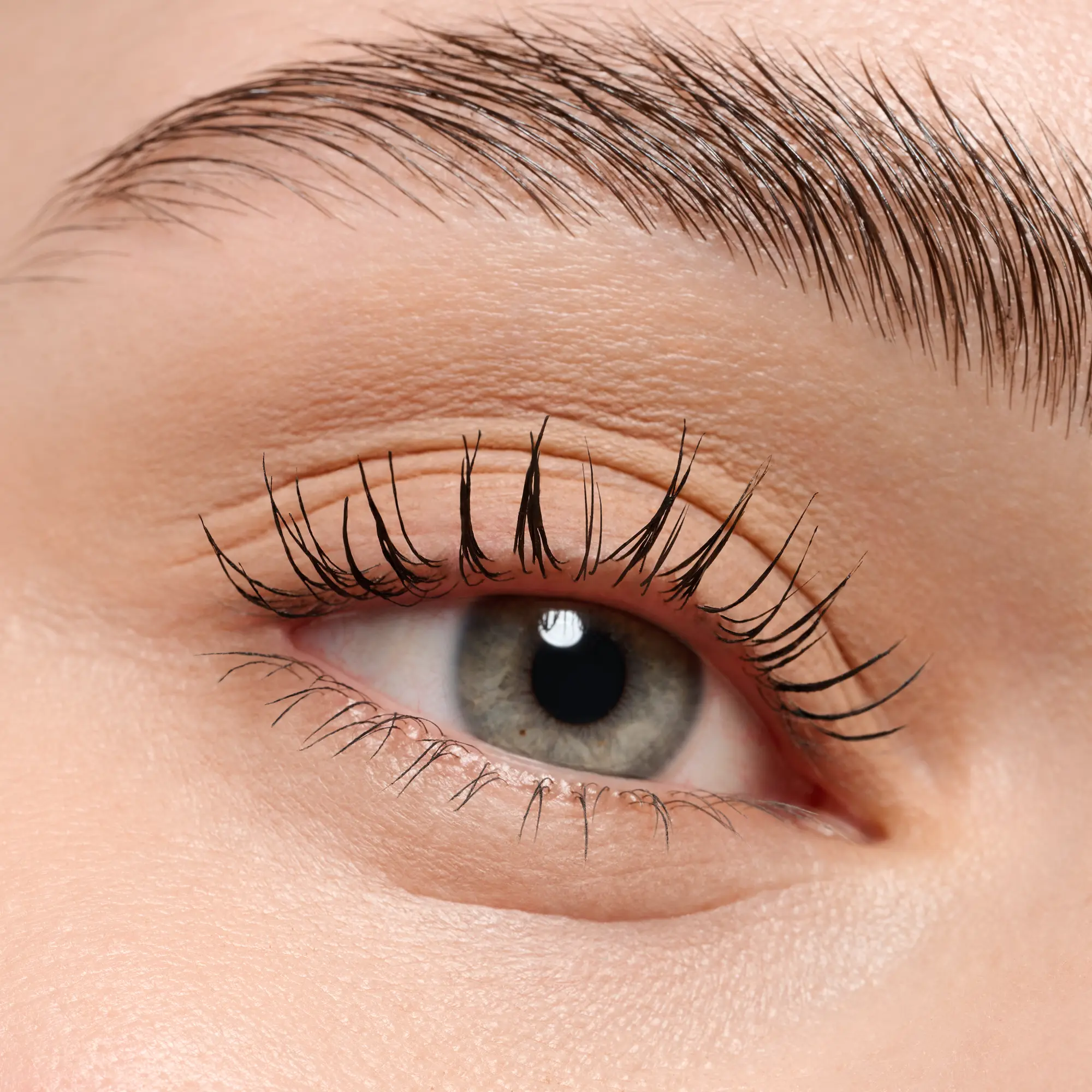 Mono Eyeshadow Matte 02 Neutral Brown - Image 3
