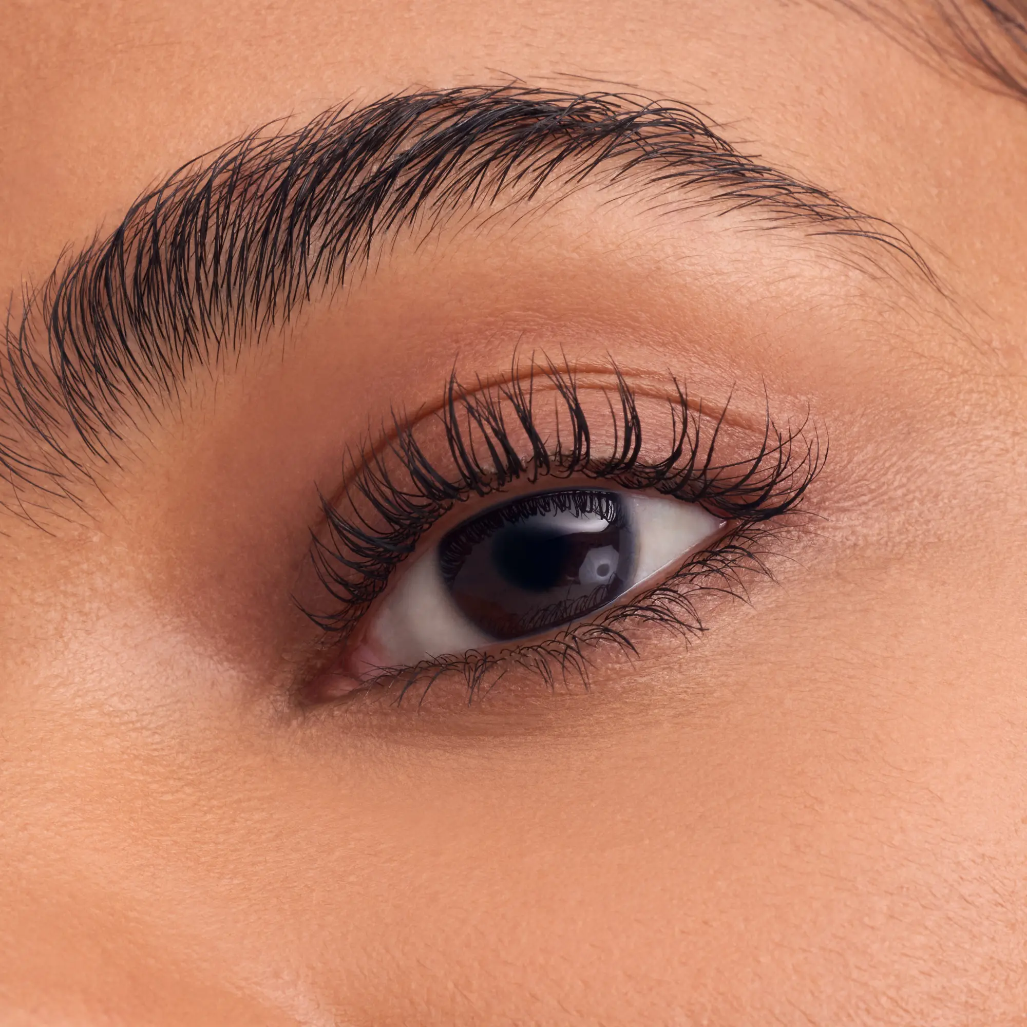 X Disney The Little Mermaid Lash Without Limits Extreme Lengthening & Volume Mascara I Sea You - Image 2