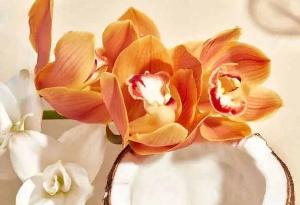 Body Lotion Wild Orchid - Image 3