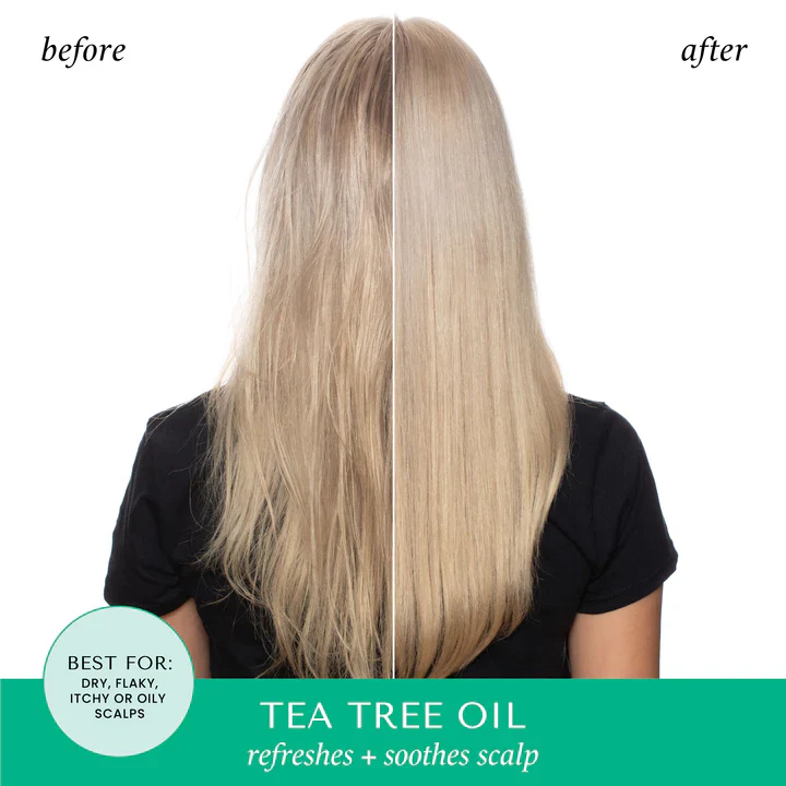 Tea Tree Oil & Rosemary Invigorating Shampoo - Image 2