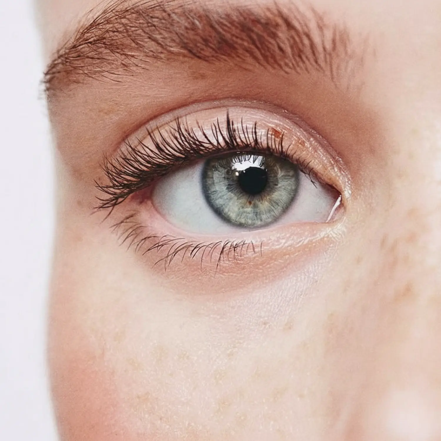Invisible Bands Lashes Romy - Image 2
