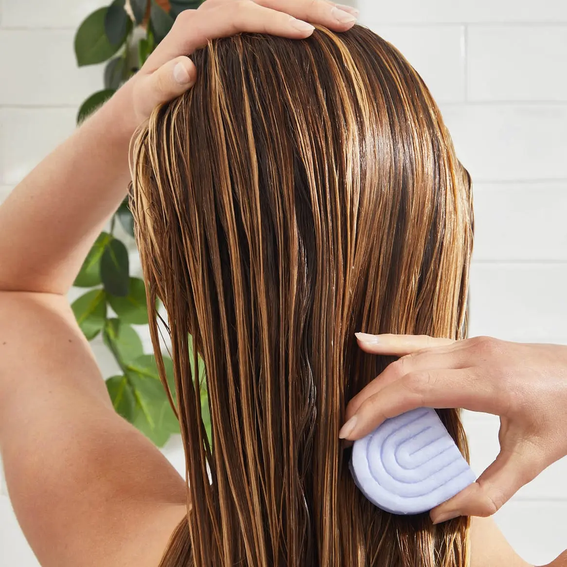 Neutralizing Purple Toning Shampoo & Conditioner Bar Set - Image 3