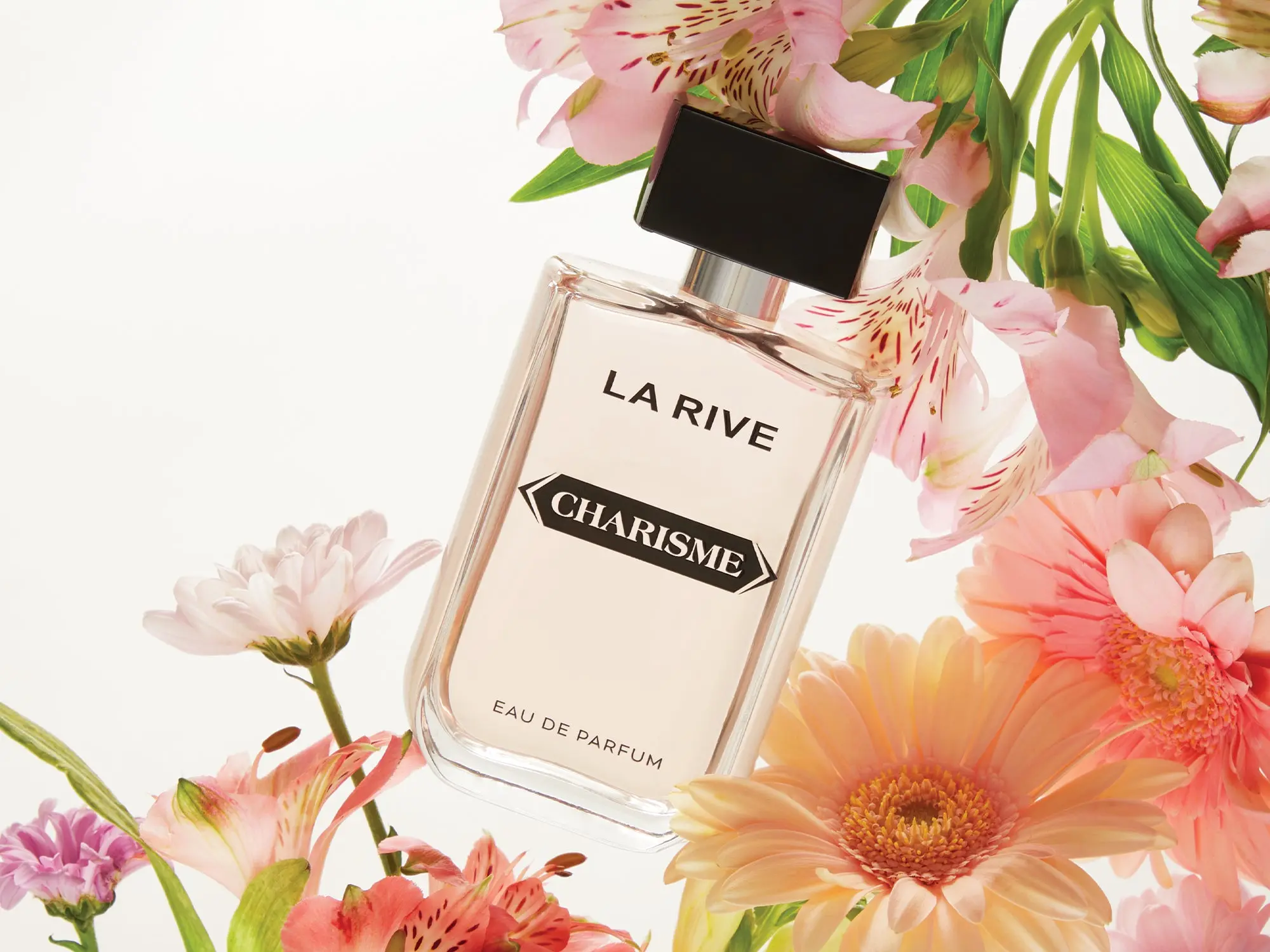 Charisme - Image 2