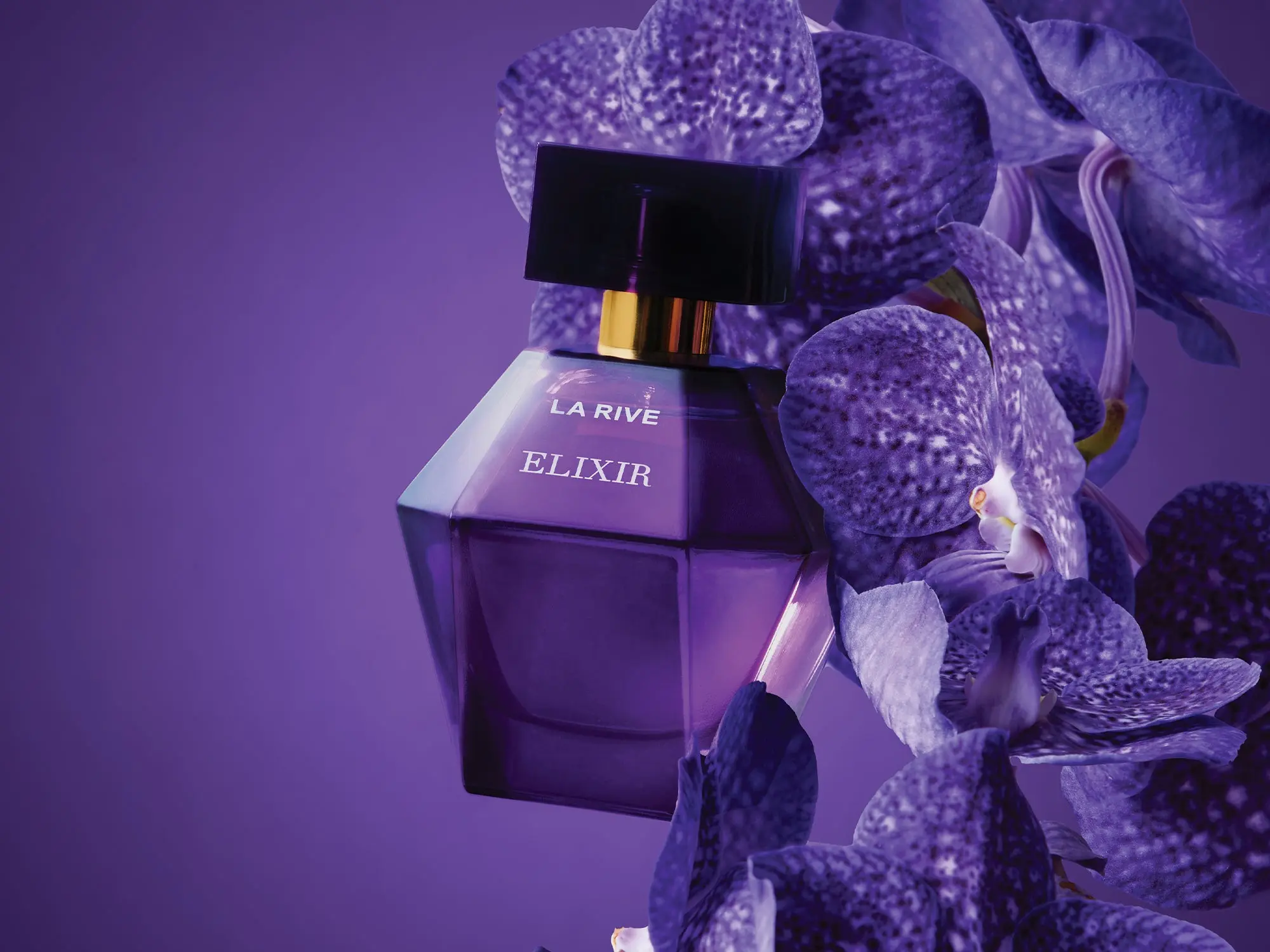 Elixer - Image 2