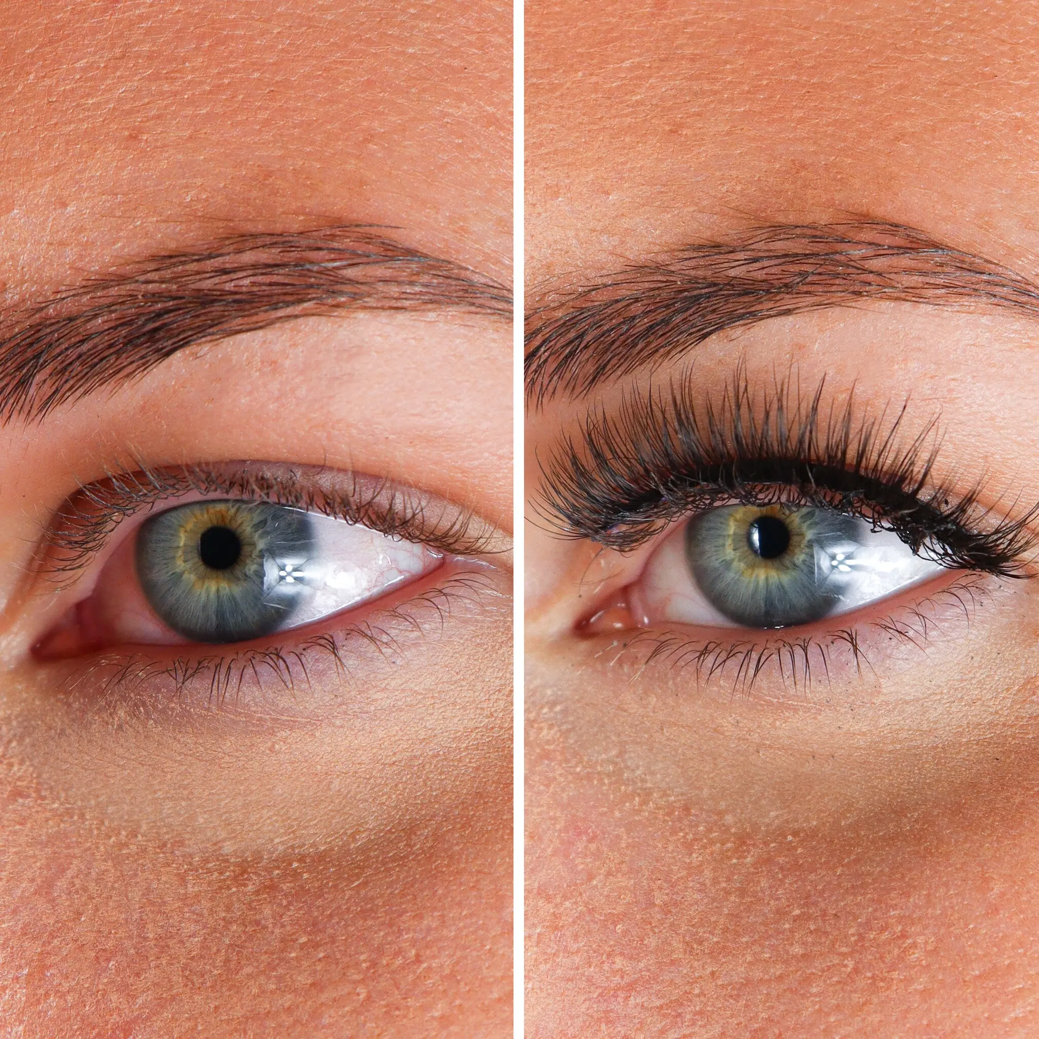 Lashes Bibi - Image 3