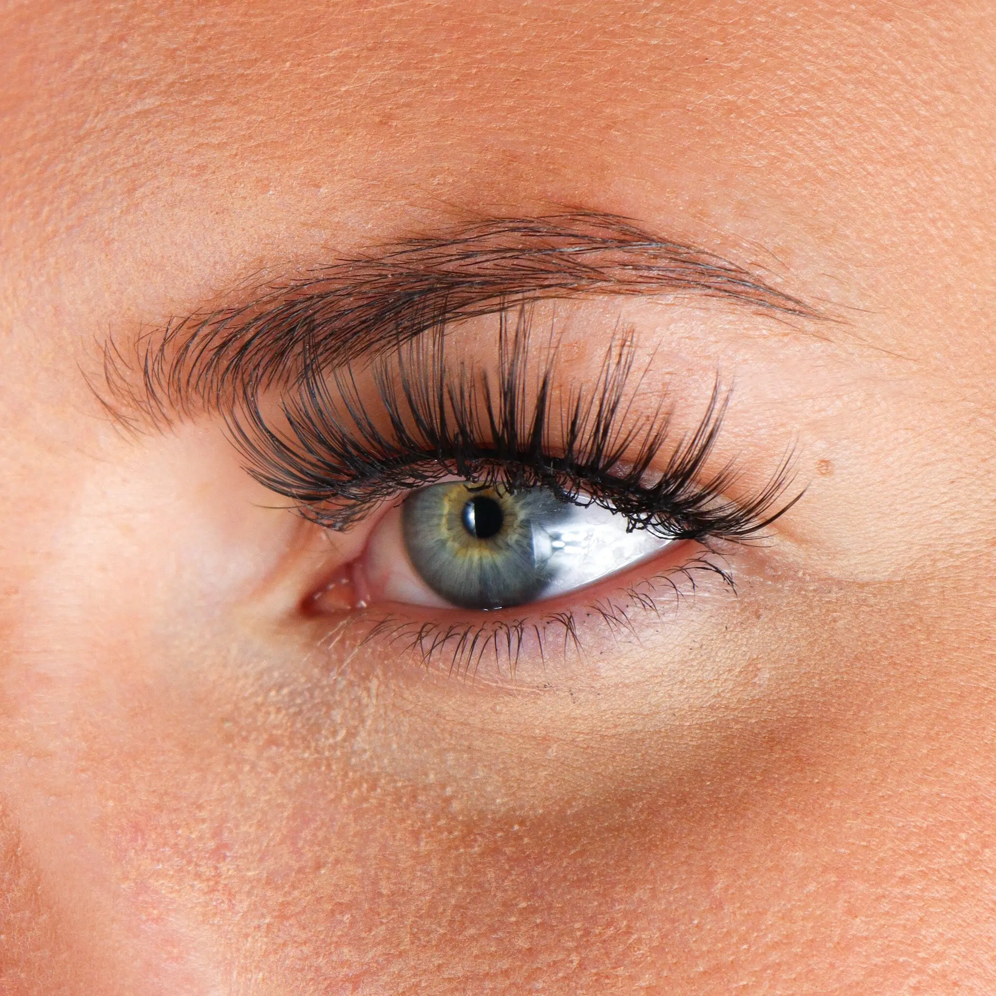 Lashes Lizzeth - Image 2