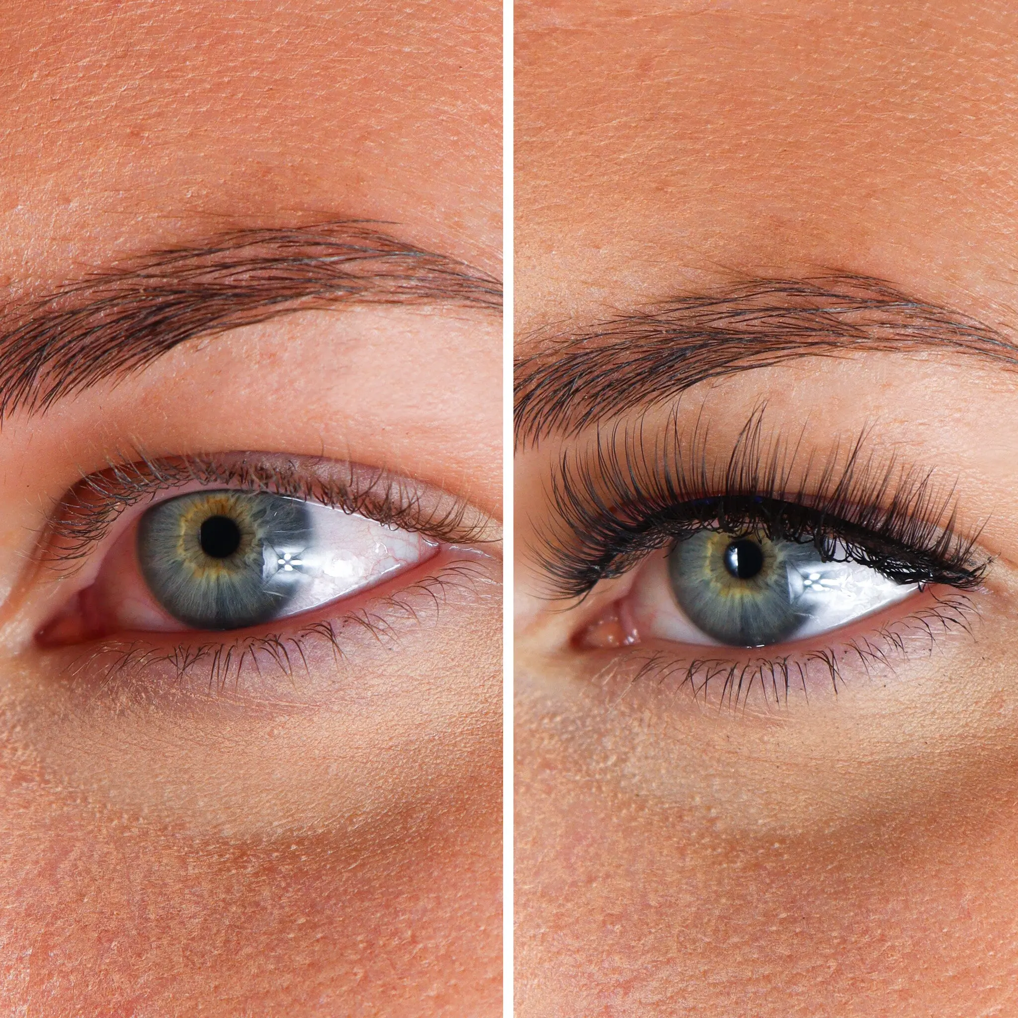 Lashes Maxime - Image 3