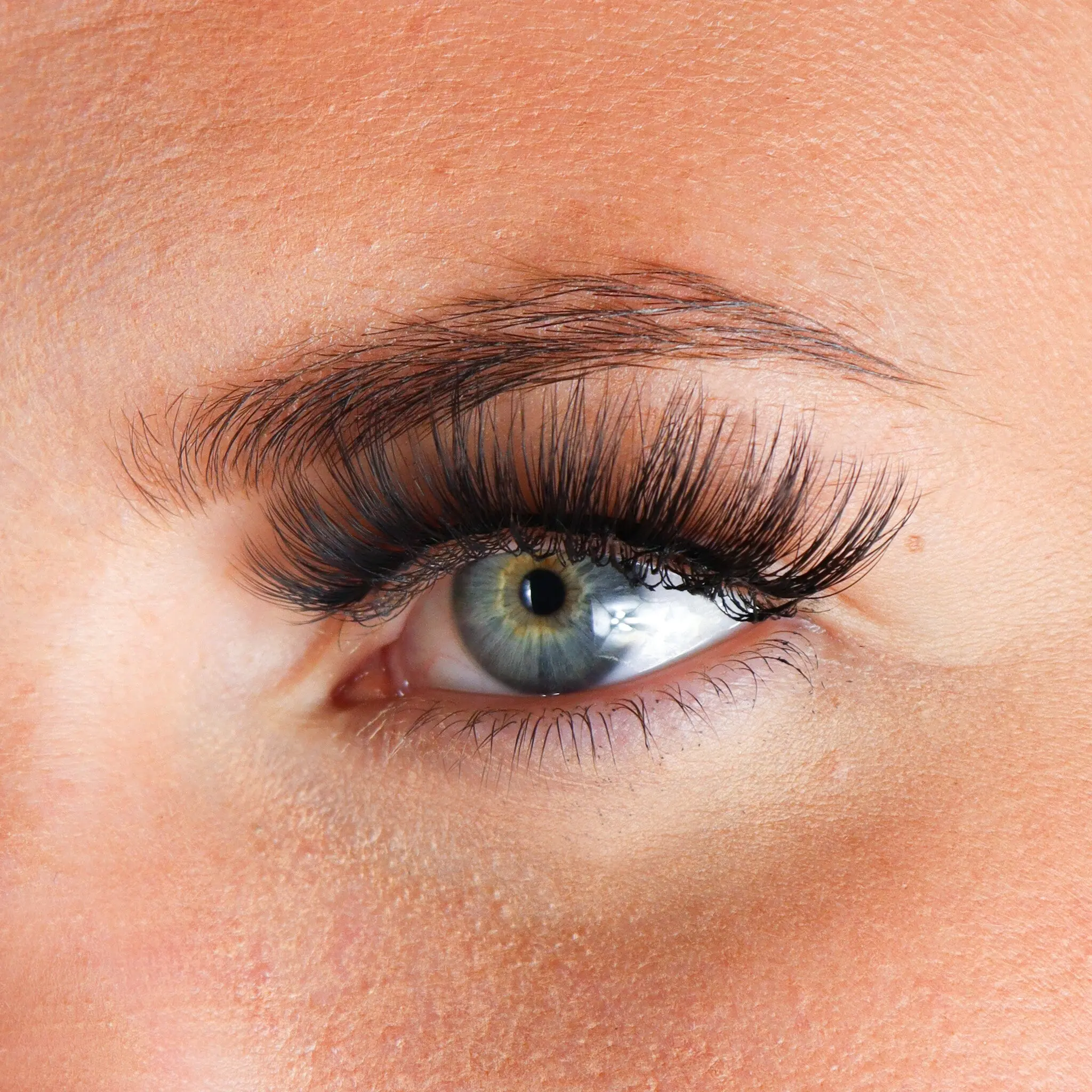 Lashes Tisha - Image 2