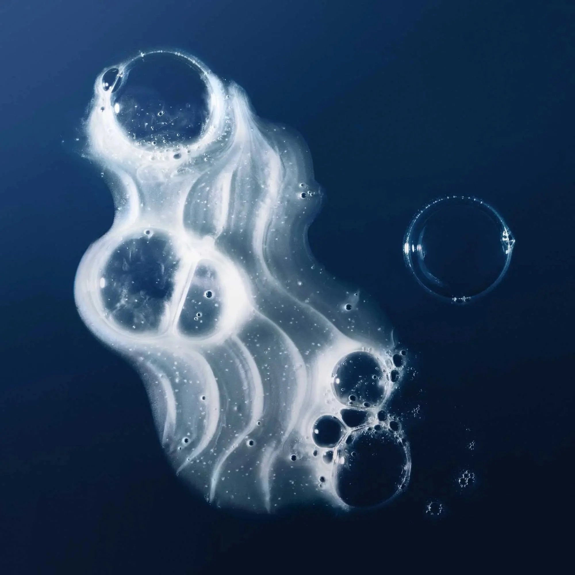 No Frizz Shampoo - Image 3