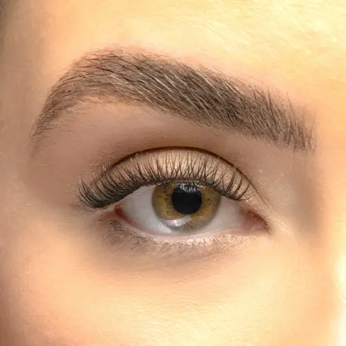 Clasic DIY Cluster Lashes - Image 2