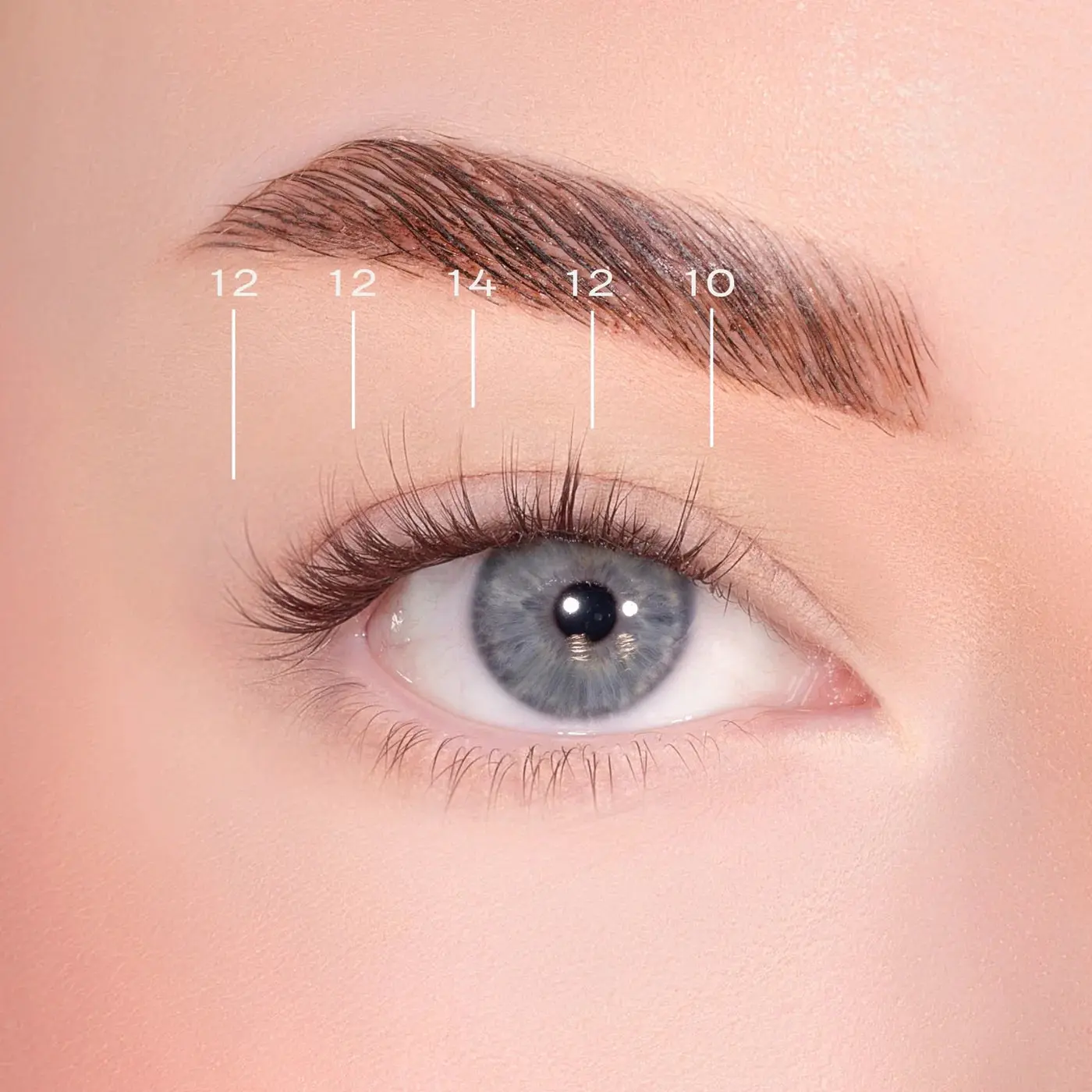 Feathered Dark Brown Pre-Glued Lashes - Image 2
