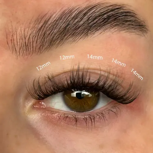 Fluffy Russian DIY Lash Extension Set - Image 4