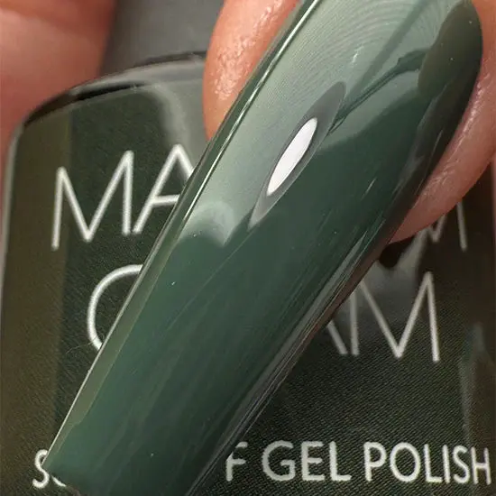 Soak Off Gel Polish Sage Stuffing - Image 3
