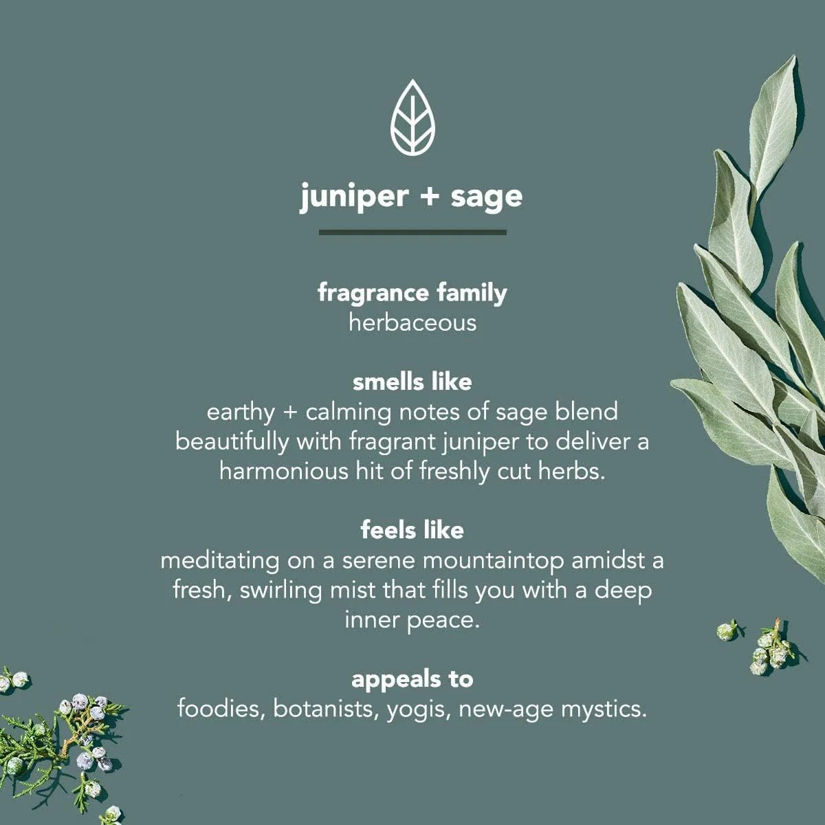Body Wash Juniper + Sage - Image 5