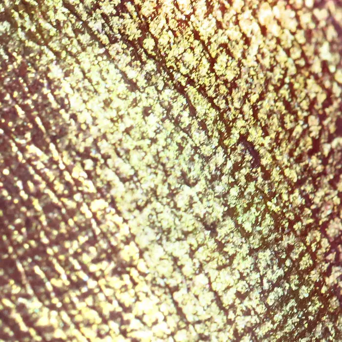Chromatic Show Liner 004 Misbehaving - Image 3