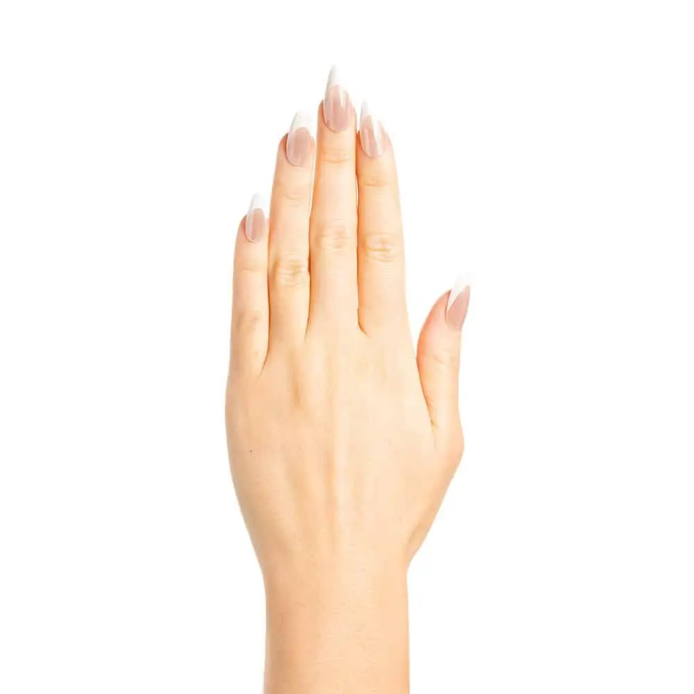Almond Natural French Glaze Nails - Image 3