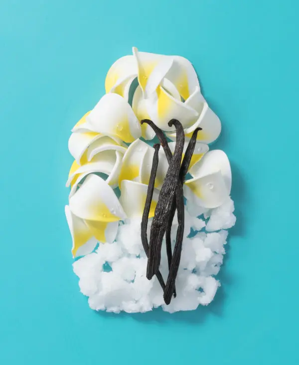 Extra Strength Damage Remedy and Coconut Miracle Oil Shampoo - Image 4