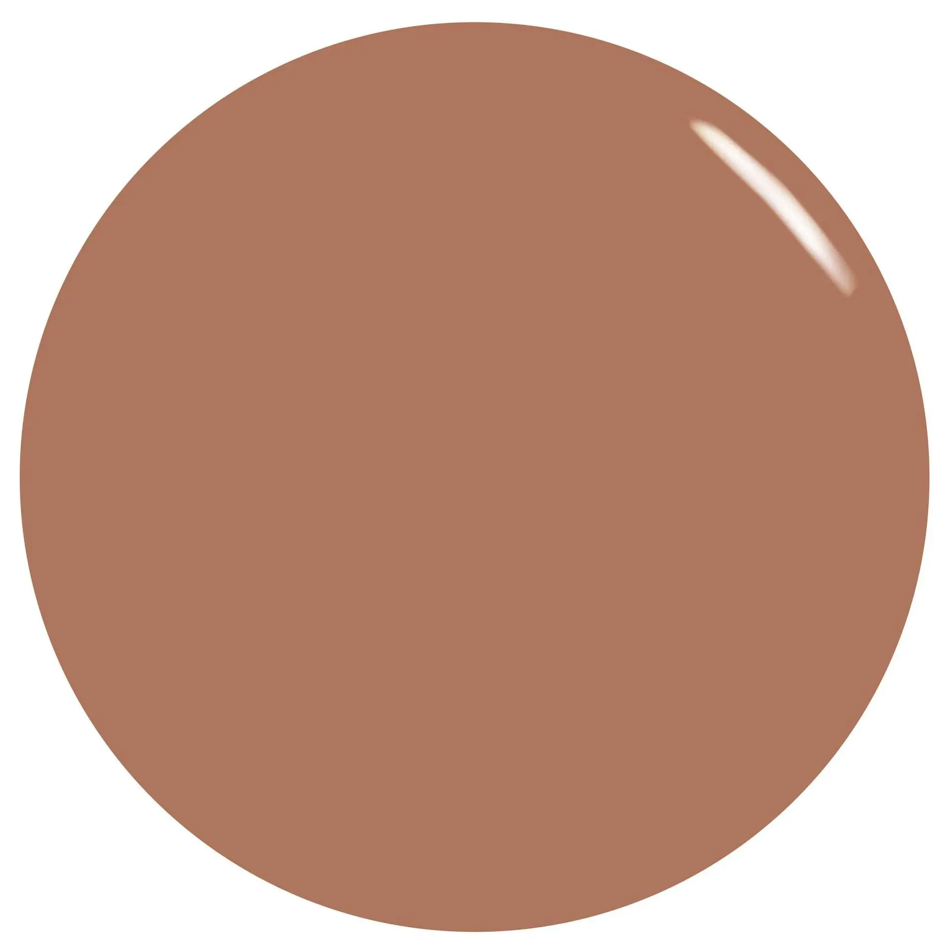 Glow & Behold Nail Polish Collection Nude Attitude - Image 2