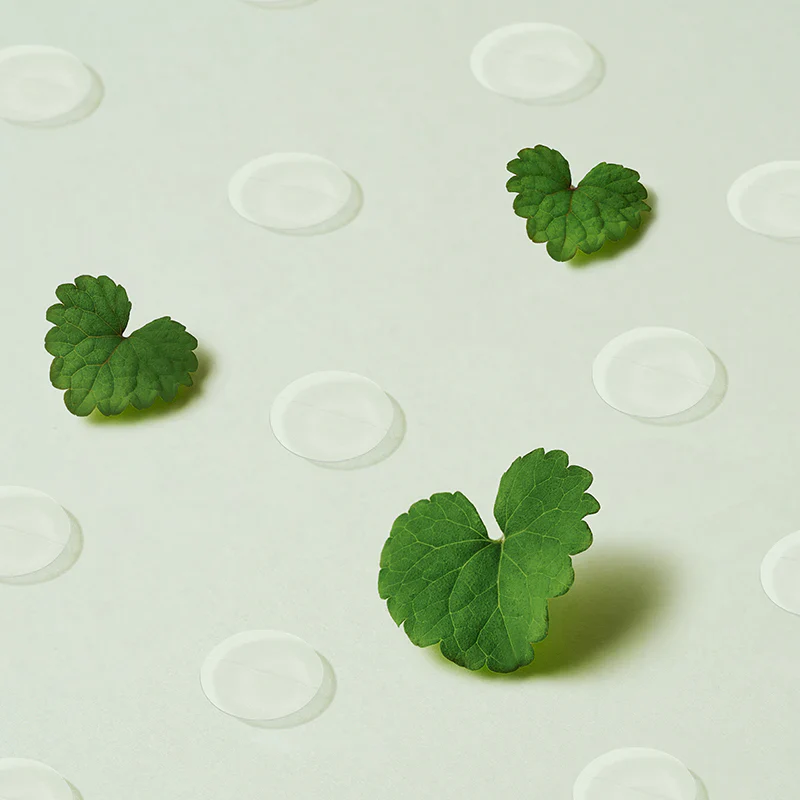 Wonder Releaf Centella Spot Patch - Image 4