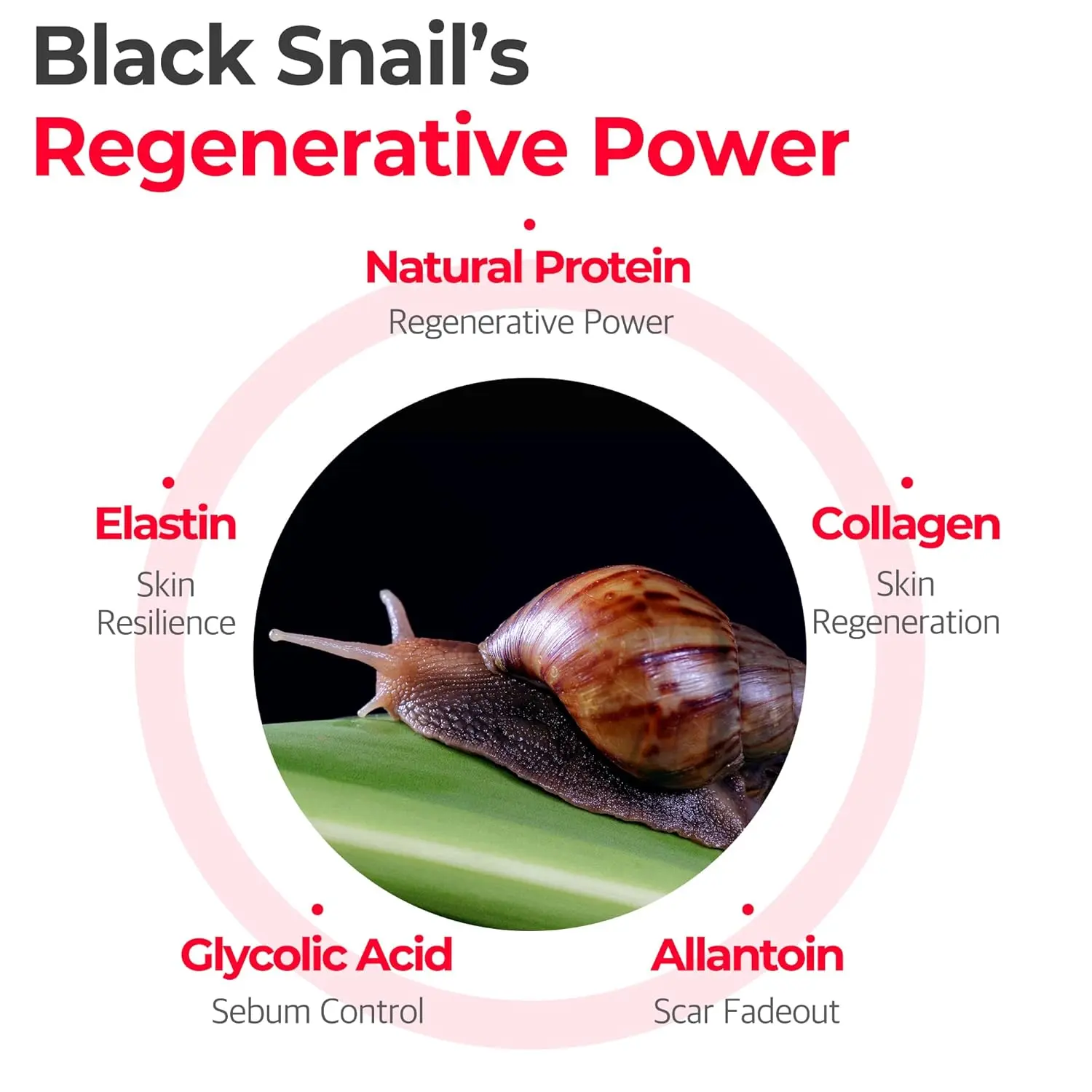 Snail Truecica Miracle Repair Cream - Image 3
