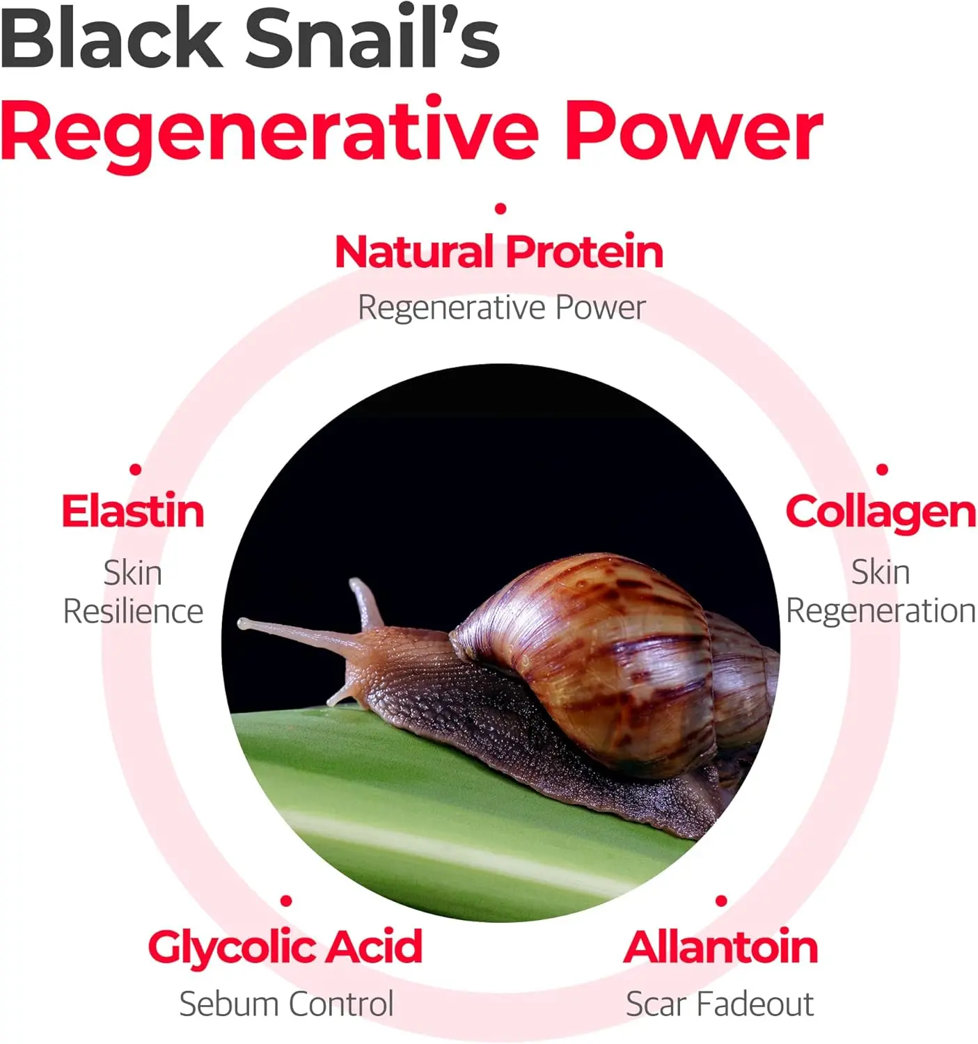 Snail Truecica Miracle Repair Toner - Image 3