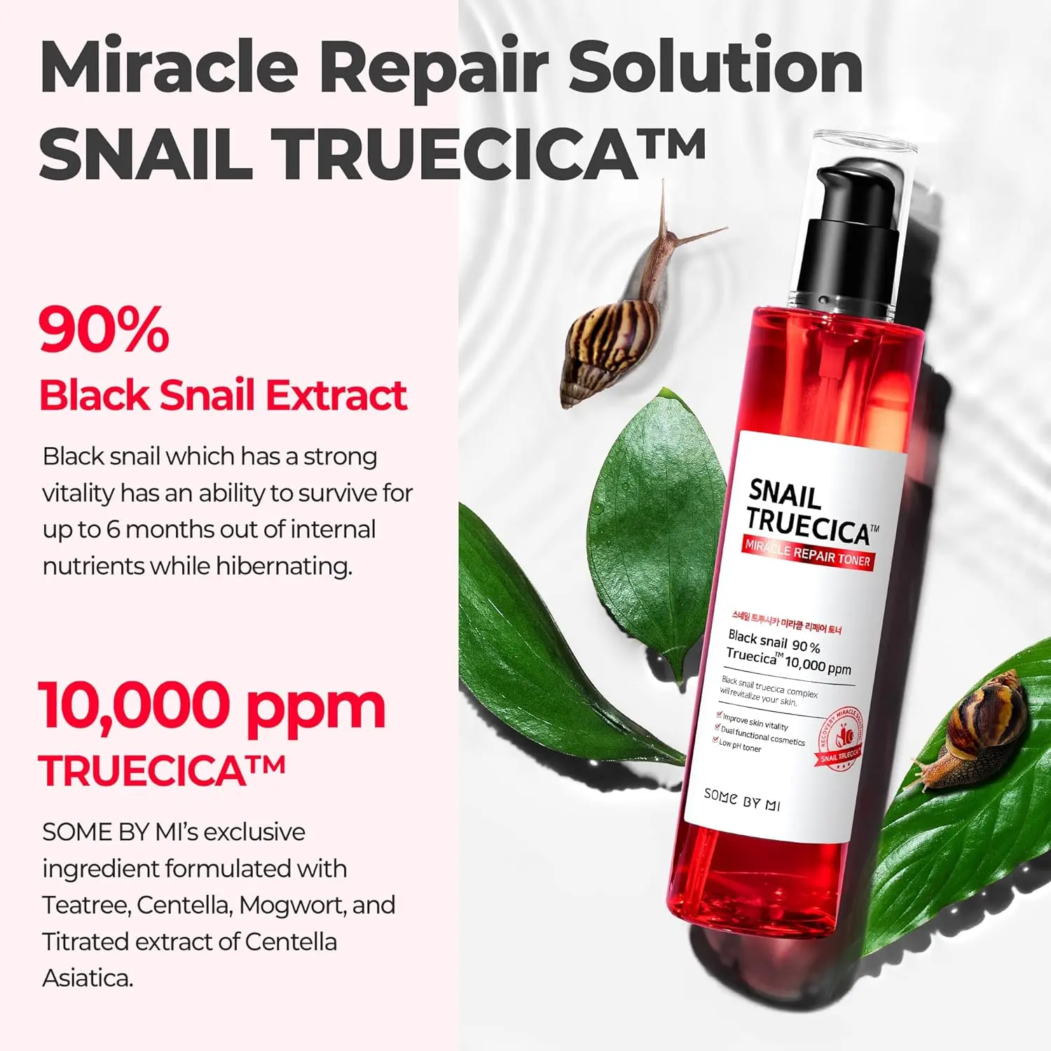 Snail Truecica Miracle Repair Toner - Image 4