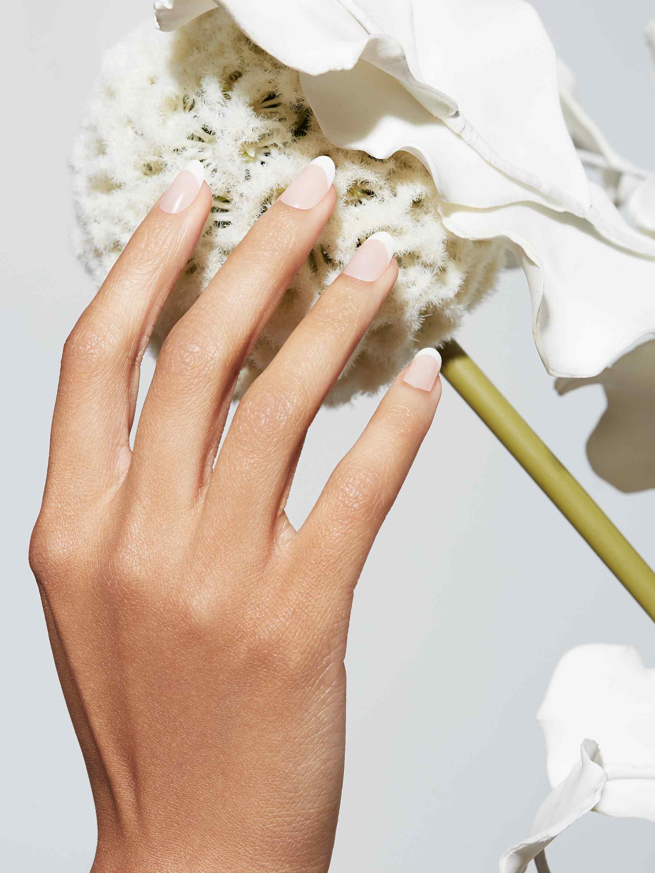 Reusable Pop-On Manicure French 75 Round - Image 3
