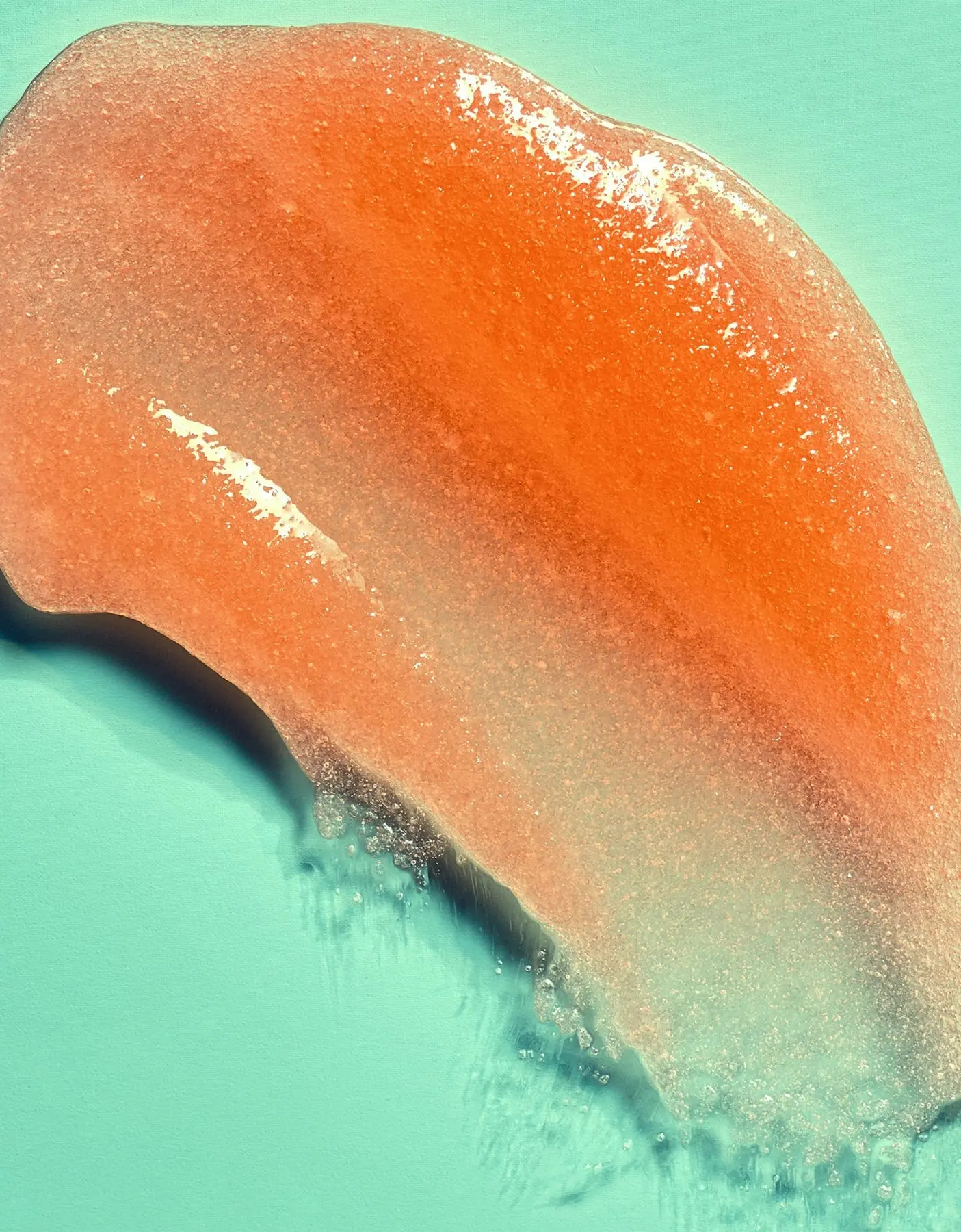 Bikini Reef Shea Sugar Scrub - Image 4