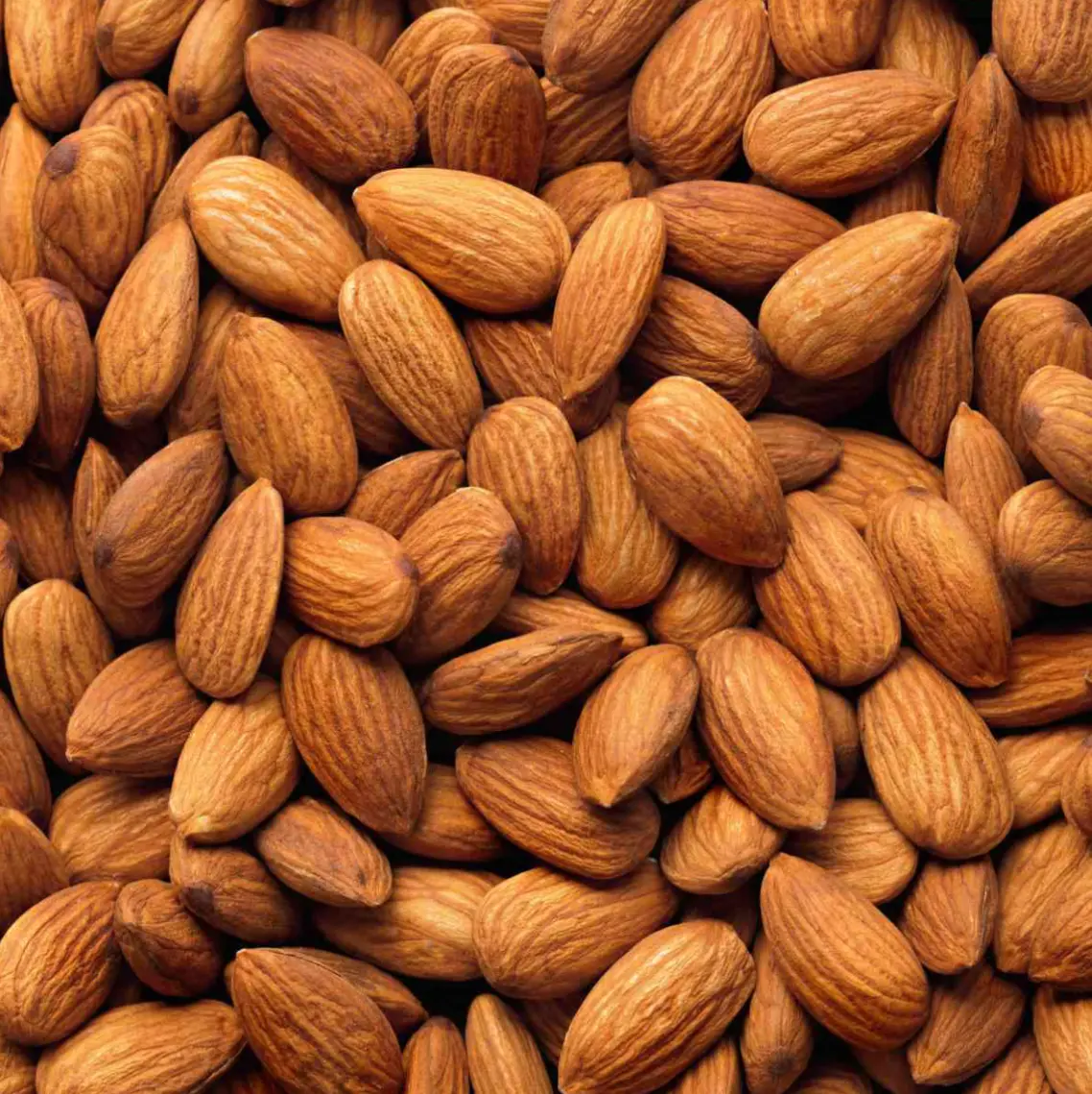 100% Pure Almond Oil - Image 3